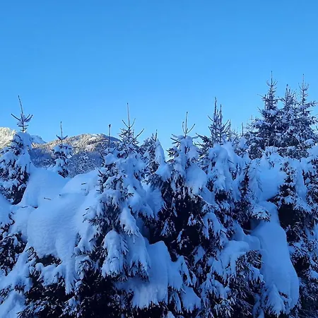 Profumo Di Montagna - Ai Caprioli Tarvisio