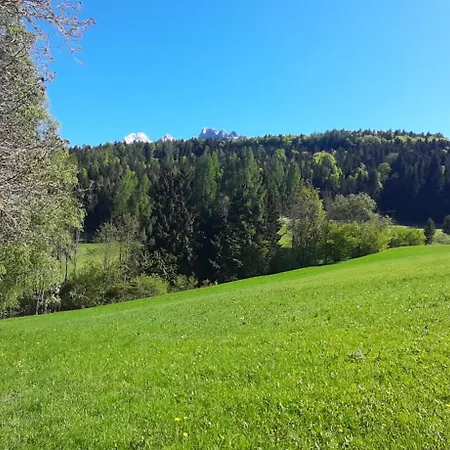 Profumo Di Montagna - Ai Caprioli Apartament *